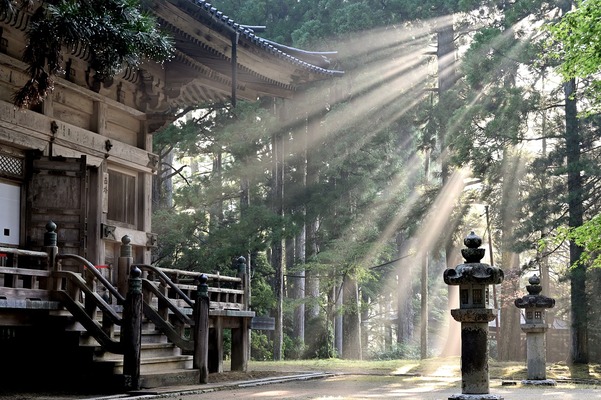 L’esperienza giapponese basagliana a Kagoshima. Incipit di un nuovo percorso