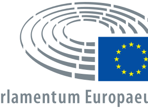 Elezioni europee e salute mentale: votare è importante, votare informati è utile