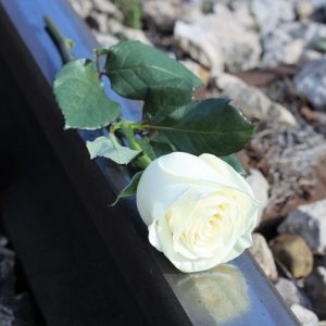 La violenza come strumento maschile per la sottomissione delle donne che si ribellano