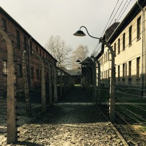 Giornata Mondiale della Memoria. Il progetto eutanasia per i malati mentali