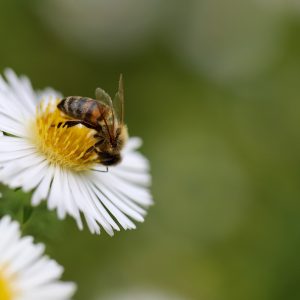 Per i giovani la sessualità è diventata una gara, non è più un momento di condivisione