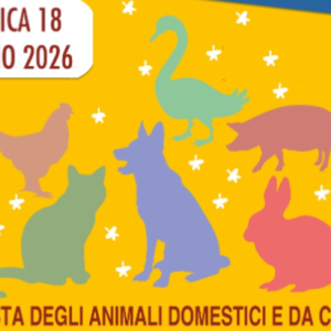 23a Festa degli Animali Domestici e da Cortile
