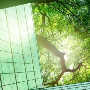 Ecoansia e Salute. Il verde in città può farci stare meglio, migliorando umore e ansia