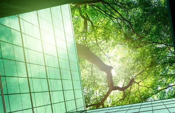 Ecoansia e Salute. Il verde in città può farci stare meglio, migliorando umore e ansia