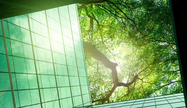 ecoansia (1) Ecoansia e Salute. Il verde in città può farci stare meglio, migliorando umore e ansia